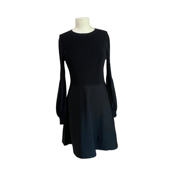 Theory Blouson Whimsigoth Sleeve Fit & Flare Witchy Dress NWT Sz Large - Picture 1 of 10